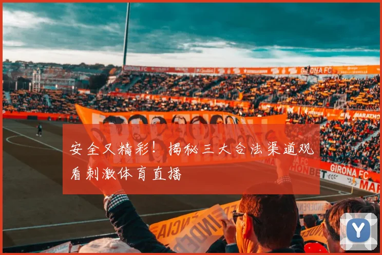 安全又精彩！揭秘三大合法渠道观看刺激体育直播