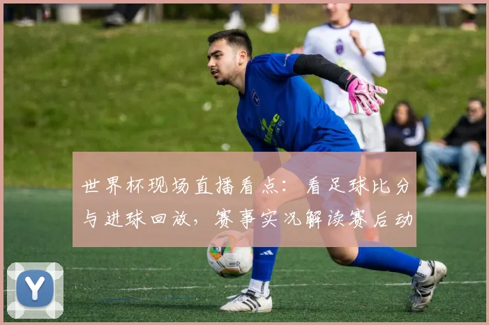 世界杯现场直播看点：看足球比分与进球回放，赛事实况解读赛后动态