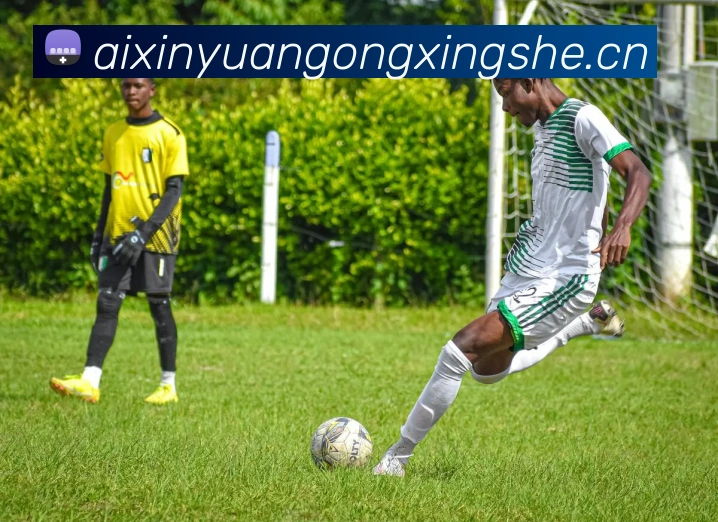 拜仁切尔西数据对比:球队战绩、球星与战术体系解析